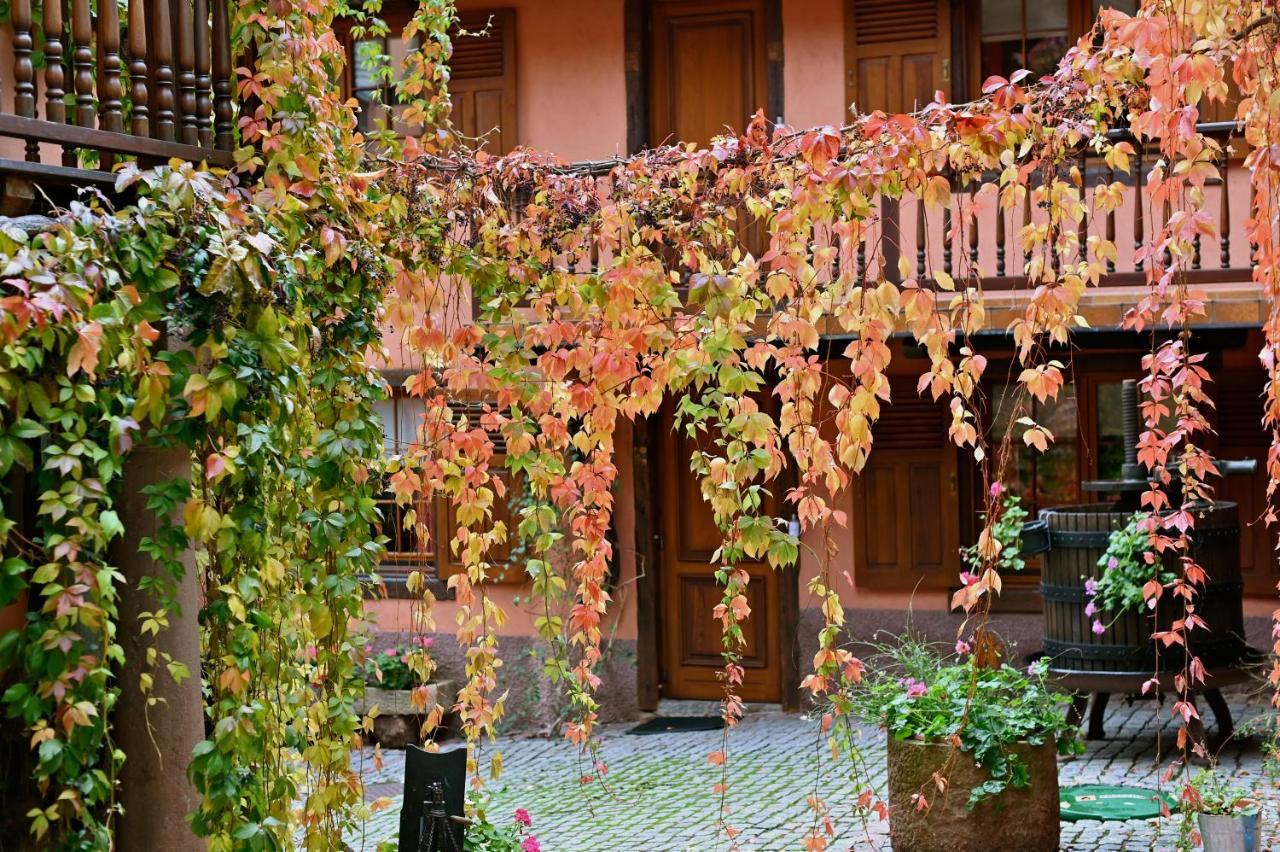 Hotel De L'Ange Niedermorschwihr المظهر الخارجي الصورة